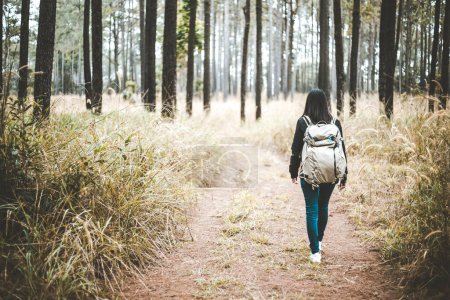 Photo for Young asian travel backpacker woman with backpack walking in tropical pine forest at Phetchabun, Thailand - Royalty Free Image