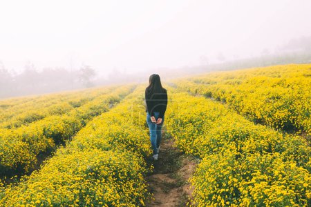 Téléchargez les photos : Voyage d'hiver relaxer concept de vacances, Jeune voyageur heureuse femme asiatique avec pull marche sur jaune Chrysanthème champ de fleurs avec brouillard dans le jardin à Chiang Mai, Thaïlande - en image libre de droit