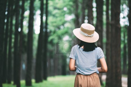Téléchargez les photos : Voyage d'hiver relaxer concept de vacances, Jeune voyageuse heureuse asiatique visiter la forêt de pins à Suan Son bo Kaeo Park, Chiang Mai, Thaïlande - en image libre de droit