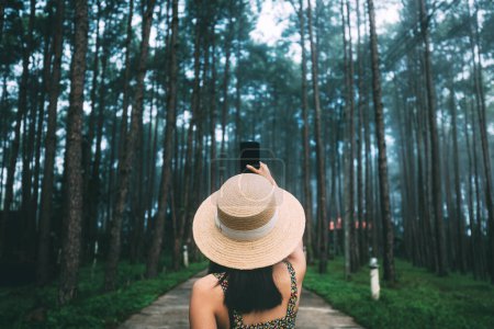 Téléchargez les photos : Voyage d'hiver relaxer concept de vacances, Jeune voyageur heureuse femme asiatique avec téléphone portable visites dans le jardin de pins à Doi Bo Luang Forest Park, Chiang Mai, Thaïlande - en image libre de droit