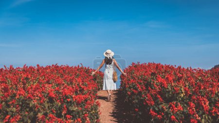 Téléchargez les photos : Voyage d'hiver relaxer concept de vacances, Jeune voyageur heureuse femme asiatique avec robe visites guidées sur le champ de fleurs Celosia rouge dans le jardin à Mon Jam, Chiang Mai, Thaïlande - en image libre de droit