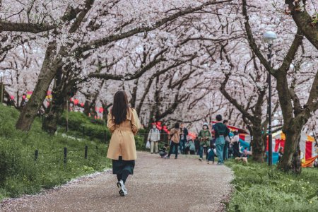Reisefrühling des japanischen Blumenkonzepts, Glückliche Reisende asiatische Frau Sightseeing in rosa Sakura Kirschblütenbaum blüht im Gongendo Park, Satte City, Saitama, Japan
