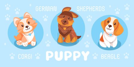 Illustration for Vector illustration of puppies characters. Corgi, German Shepherd, Beagle. Images in cartoon style. - Royalty Free Image