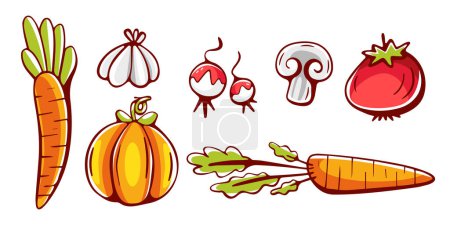 Téléchargez les illustrations : Un ensemble d'éléments vectoriels sur le thème des légumes dans le style dessin animé, citrouilles, radis, carottes, ail, champignons, tomates. - en licence libre de droit