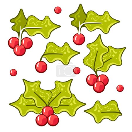 Illustration for Vector holly leaves and berries in cartoon style. - Royalty Free Image