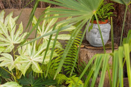 Details von Fatsia japonica und Trachycarpus fortunei Blättern im Garten mit Buddha-Figur
