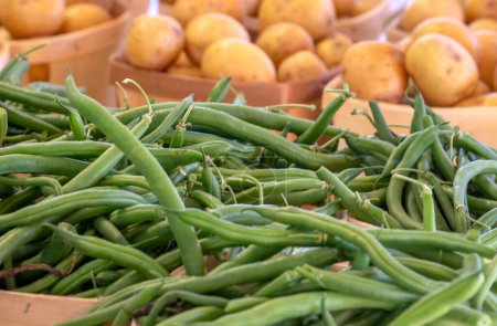 Photo for Piles of fresh green beans and potatoes are foe sale in a Michigan Farmer's market - Royalty Free Image