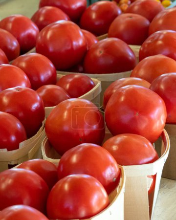 Photo for Containers of fresh tomatoes are for sale at a michigan fruit and veggie stand - Royalty Free Image