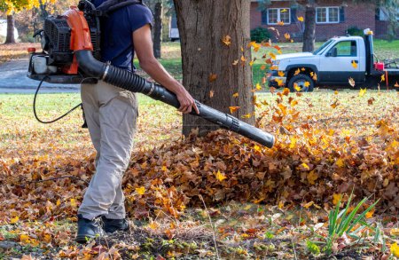 Ein Arbeiter mit einem großen Laubbläser sammelt die Blätter zu großen Haufen, um sie leicht zu entfernen.
