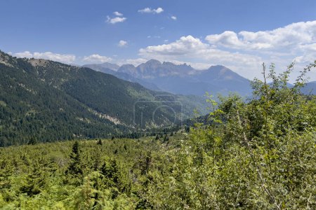 Photo for Idyllic landscape in Vardousia mountain with fresh green meadows in Greece on August 16, 2023. - Royalty Free Image