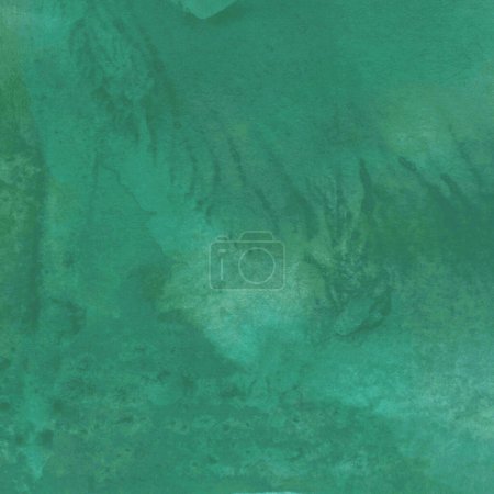 Foto de Abstracto verde acuarela diseño lavar aqua pintado textura de cerca. Minimalista - Imagen libre de derechos
