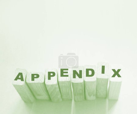 Photo for Appendix word written on wood block. appendix text on table, concept. - Royalty Free Image
