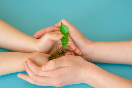 Foto de Ecology. Hands hold a sprout of seedlings on a blue background. Earth Day. Forest Conservation Concept - Imagen libre de derechos
