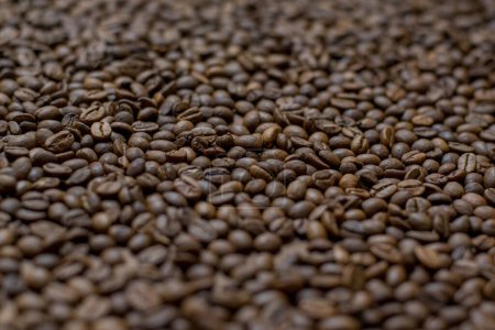 Foto de Background from coffee beans. Coffee beans. Texture of coffee beans - Imagen libre de derechos