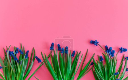 Foto de Flores de primavera. Ramo de primavera lugar para el texto. Flores de primavera muscari. Flores azules. - Imagen libre de derechos