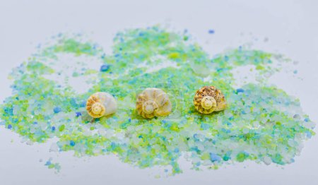 Foto de Fondo de conchas y sal marina. Fondo marino con conchas marinas. Cristales de sal marina con conchas marinas - Imagen libre de derechos