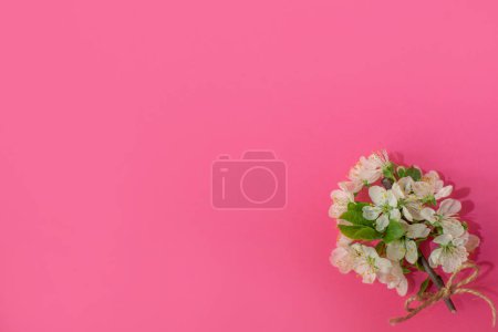 Foto de Ramo de flores de primavera sobre un fondo rosa. - Imagen libre de derechos