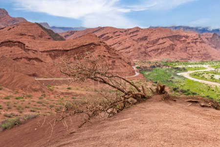 Foto de Vista de montañas rojas en Quebrada de las Conchas, Cafayate, Argentina - Imagen libre de derechos