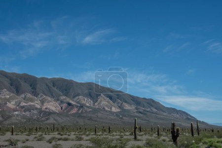 Blick auf den Los Cardones Nationalpark in Salta, Argentinien