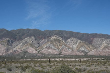 A view of Los Cardones National Park in Salta, Argentina