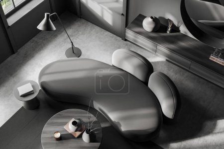 Photo for Top view on dark living room interior with round mirror, grey wall, sofa, couch, coffee table with books, carpet, panoramic window, arch, concrete floor. Minimalist design. 3d rendering - Royalty Free Image