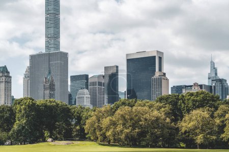 Téléchargez les photos : New York financial buildings, green lawn at central park with trees. Skyline of megapolis and business trade center. Concept of finance and company - en image libre de droit