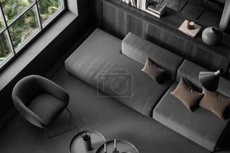 Photo for Top view of dark living room interior with sofa, armchair and drawer with art decoration. Relaxing corner with panoramic window on tropics. 3D rendering - Royalty Free Image