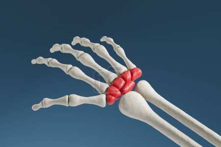 Téléchargez les photos : Squelette de la main humaine avec douleur au poignet, fond bleu foncé. Concept de syndrome du canal carpien, trouble neurologique et maladie osseuse. Illustration de rendu 3D - en image libre de droit