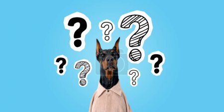 Photo for Portrait of cute dog wearing shirt and sitting over blue background with drawn question marks. Concept of planning and confusion - Royalty Free Image