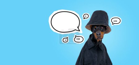 Téléchargez les photos : Tête de chien Dobermann en chapeau seau, maquette copier l'espace bulle de parole vide sur fond bleu grand format. Concept de message et chat, médias sociaux et communication - en image libre de droit