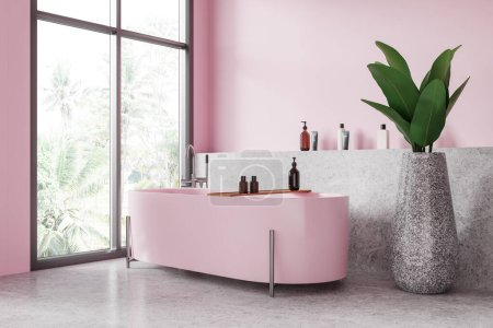 Photo for Corner view of pink hotel bathroom interior with bathtub and accessories, concrete shelf and plant near panoramic window. Colored bathing space in modern apartment. 3D rendering - Royalty Free Image