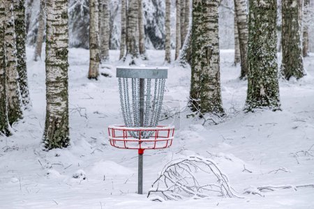 Téléchargez les photos : Disc golf cart in birch grove, snow blanket covers tree and shrub branches, foggy and grainy snowfall background - en image libre de droit