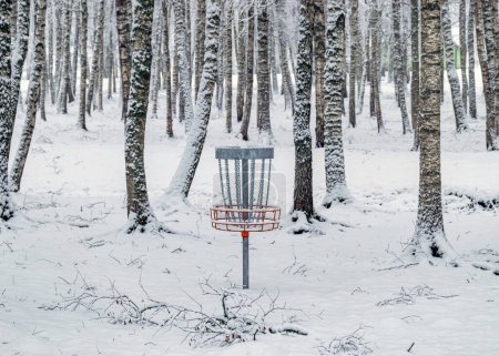 Téléchargez les photos : Disc golf cart in birch grove, snow blanket covers tree and shrub branches, foggy and grainy snowfall background - en image libre de droit