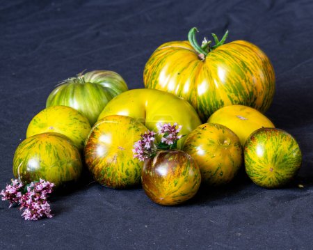 Foto de Tomates coloridos de diferentes formas sobre un fondo oscuro, adecuado para vegetarianos, dieta saludable, vitaminas - Imagen libre de derechos