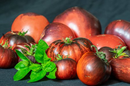 Foto de Tomates coloridos, jugosos y saludables sobre un fondo oscuro, una nutrición sabrosa y saludable, adecuada para vegetarianos - Imagen libre de derechos