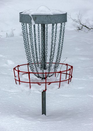 disc golf park, snow covered trees and tree branches, winter day, snow covered disc golf cart