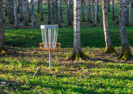 Photo for A disc golf hole on green grass with birch grove in background, disc golf basket in a park, spring - Royalty Free Image