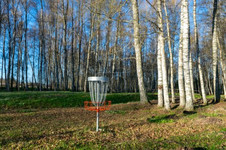 Photo for A disc golf hole on green grass with birch grove in background, disc golf basket in a park, spring - Royalty Free Image