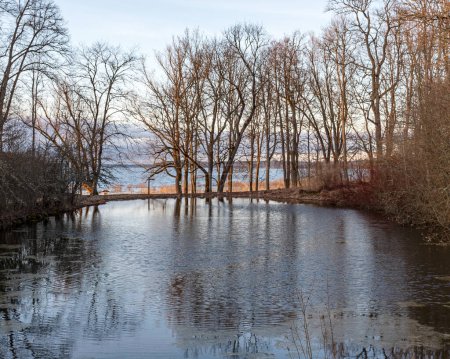 Landschaft mit einem überfluteten See, dunklen Baumsilhouetten im Gegenlicht, Reflexionen von Bäumen im Wasser, Quelllandschaft, Burtnieku-See, Lettland