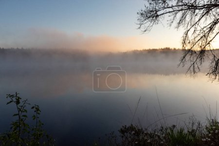 sunrise, sunset landscape by the marsh lake, morning fog, reflections in the water, traditional marsh lake vegetation, Latvia