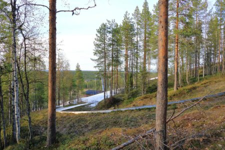 Photo for Summer toboggan run in Levi ski resort in Lapland, Finland - Royalty Free Image