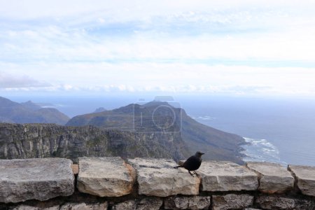 Téléchargez les photos : Vue générale des fentes arrière de la montagne de la Table vue en soirée. Le Cap en Afrique du Sud. - en image libre de droit