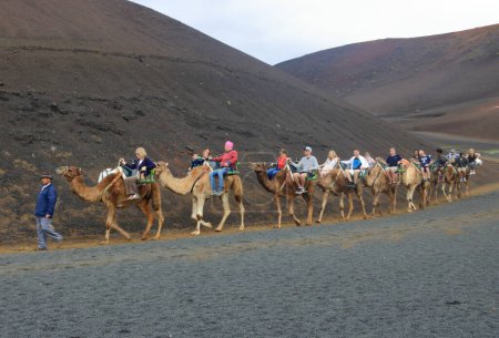 Photo for March 03 2018 - Lanzarote, Canary Islands, Spain: a Caravan of camels with tourists in Timanfaya National Park - Royalty Free Image