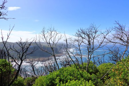 Photo for The Amazing view to the sea Featherbed Nature Reserve, Knysna, South Africa - Royalty Free Image