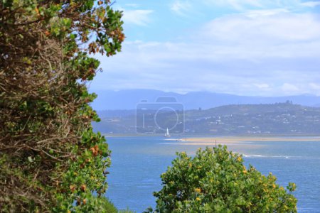 Photo for The Amazing view to the city Featherbed Nature Reserve, Knysna, South Africa - Royalty Free Image