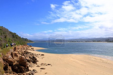 Photo for View of Knysna Heads coastline on a beautiful summer morning,Knysna in South Africa - Royalty Free Image