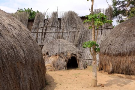 Téléchargez les photos : Village culturel traditionnel Matsamo, Eswatini, Swaziland - en image libre de droit