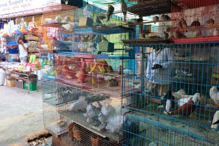 Téléchargez les photos : December 21 2022 - Mumbai, Maharashtra in India: pet shop department in the Crawford Market - en image libre de droit