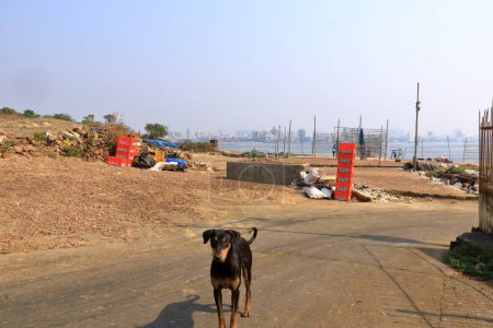 Téléchargez les photos : December 21 2022 - Mumbai, Maharashtra in India: fishing port in Mumbai near the Killeshwar Mahadev Temple and Madh Fort - en image libre de droit