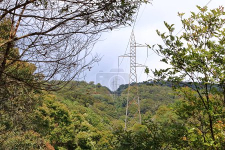 Foto de Vista del bosque nuboso de gran altitud cerca del Cerro de La Muerte. Montañas Talamanca, Costa Rica - Imagen libre de derechos